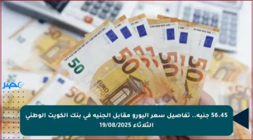 56.45 جنيه.. تفاصيل سعر اليورو مقابل الجنيه في بنك الكويت الوطني الثلاثاء 19/08/2025